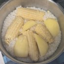 소소박