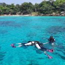 라차비치 이미지