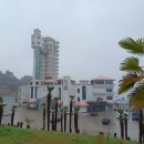 율포솔밭해변1 이미지