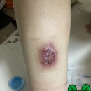 고연뿌리약국 이미지