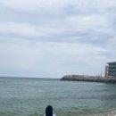 여주(강릉) 이미지