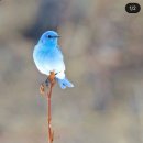 양재신세계약국 | #231231