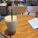 에스더학교 | 얼마전에 인간실격 읽었더니 인간실격 당했다//교토 일상 [91] 3/30~4/5