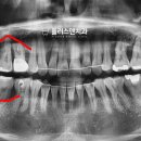 플러스덴치과의원 이미지