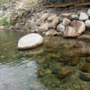 웃냇물펜션 이미지