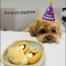 뜨레드네일 | 희노애락 6월의 일기