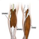 베이스오브바디 이미지