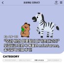 낭만살쾡이 | EP. 26-03 "우리 밖의 얼룩말이 다가온다고?!" 모잠비크 초원 속 동물원 mfmfarms, 솔직담백 리얼 후기!