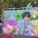 Strange World | 하성운 콘서트 웰컴 투 STRANGE WORLD 1층 관람 후기 (편지 음성, 영상 등)