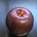 경상남도 사과이용연구소 이미지