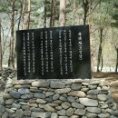 모정의 바다 이미지