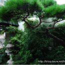 고젠일식 이미지