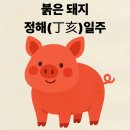 붉은돼지 - 용산구 원효로48길 11-8 | 붉은돼지