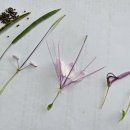 8/3- (푸르게 만드는 시작점), 고통없이 마음에 그릇이 커질 수 없다. 이미지