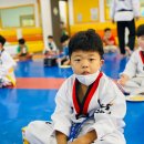 한국체대 마송태권도장 이미지