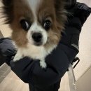 해나노래방 이미지