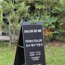 강정동-73 | 서귀포 미용실 추천 두피 관리 꼼꼼히 해주는 살롱드미