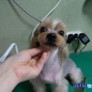 부산마이크로병원 이미지