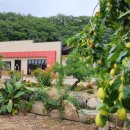 태산농장1 이미지