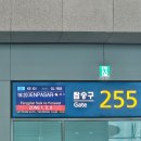 정듦 | 발리 혼자 1일차 - 그냥 걷기만 한 우붓 (12/16)