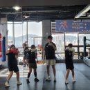 복싱피스트 호수 이미지