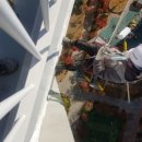 주식회사 위캔 이미지