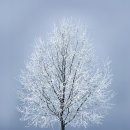 직천낚시터 이미지