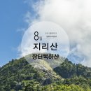 지리산큰나무 | 지리산 등산코스 천왕봉 - 장터목 대피소 하산 코스 후기