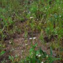 곡정초등학교 이미지