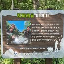 탄탄대로 이미지