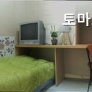 토마토고시텔