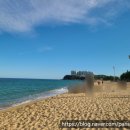 베니키아호텔산과바다속초 이미지