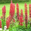 런던파크 이미지