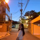 세승 이미지
