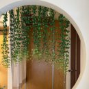 그랩커피(Grab coffee) 이미지