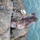 거제도파도소리가족낚시펜션 이미지