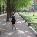 고바우가든 이미지