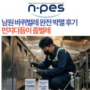 남원 바퀴벌레 완전 박멸 후기 먼지 다듬이 좀벌레 엔페스 전문약제로 확실하게