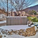 가둘기정원 꽃넘이 이미지