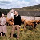 연옥농장 이미지