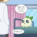 씨즈더데이 이미지