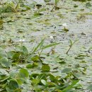 양산체육공원 이미지