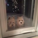 둔산로206번길 이미지