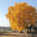 신당리 마을회관 이미지