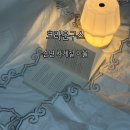 패션이불 | 호텔침구 세트로 완성한 침실 분위기 크라운구스 프테라 컬렉션 순면 사계절 이불 후기