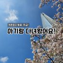 화창카정비 | 주말 석촌호수 벚꽃 축제 아기랑 나들이 주차 유모차 방문시간대 만개 정리