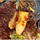 강남 갈매기
