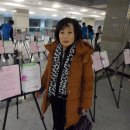 솔향지사