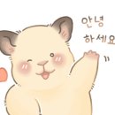 온앤오프컴퓨터 이미지