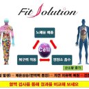 편백효소방 이미지